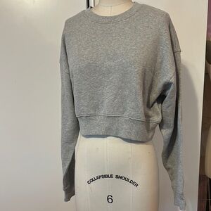 Forever 21 Gray Crew Neck Long Sleeve Crop Sweatshirt